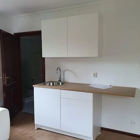 Studio Zubrowa Apartment